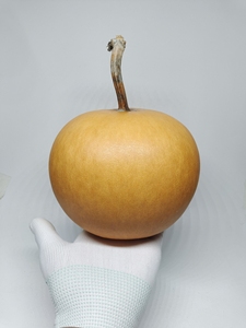《送底座》精美天然冰裂纹大苹果葫芦,器型漂亮,净高12厘米