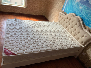 因为搬家要回老家,所以出售年初购买朗萨家私,床和床垫,专门给