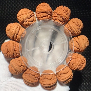 秦岭野生霸王龙桃核手串,爆肉龙纹,颜色均匀,佩戴佳品,边肚高