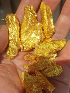 野外捡的金色金属块十几块,不知道是什么东西,反正金光灿灿很好