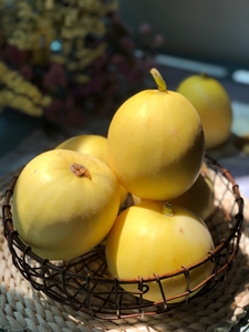 山东基地直发  小蜜蜂蜜罐甜瓜上架了