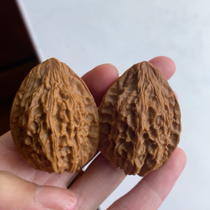 文玩核桃鸭嘴兽
