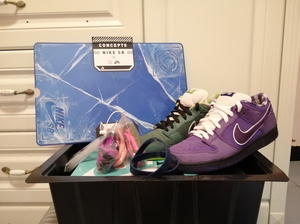紫龙虾鞋盒图片