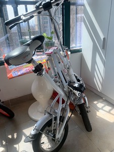 圣飞特折叠成人自行车，意大利品牌，质量完好，折叠后可以进后备
