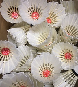 二手红超羽毛球9成新以上,比赛训练球12个装