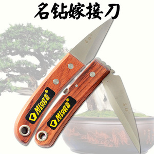 【嫁接刀名钻】嫁接刀名钻品牌,价格 - 阿里巴巴