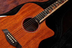 00  0 累计评论 10 交易成功 卖家:肌肉块人无花果 发货地:江苏 常州