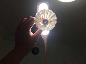 尤尼克斯f90羽毛球蓝绿标(一速)