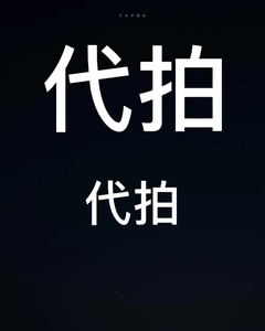 000人付款淘宝【专业代拍】代拍代抢vivo x fold