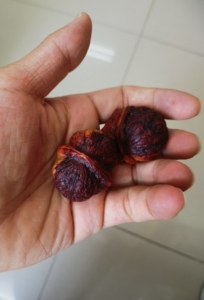 [红旗][红旗][红旗]云南铁核桃,七彩和方尊,肚42 .