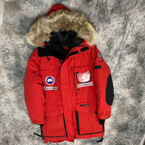 加拿大鹅雪咒snow