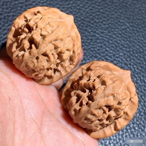 000人付款淘宝文玩核桃,秦皇岛元宝狮子头,皮质特别棒,肚子比边大很多