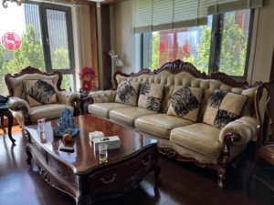 亚振7.8成新沙发4772太阳宫自提,购于北居然亚振专卖店!售