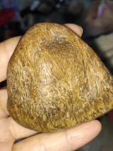 草化玉桫椤化石玉