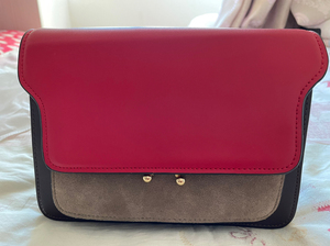 全新温莎真皮女包,购买于商场,一次都没有背过,可以斜挎和单肩