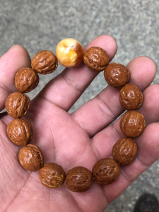 小核桃,尺寸15肚15高16,黄金甲带一个阿拉善配饰,赔钱处