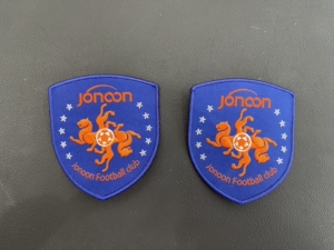 中超中甲联赛青岛中能刺绣版烫印版正版队徽