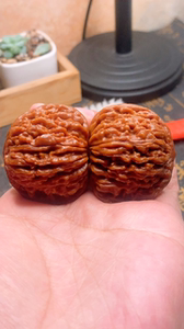 tb241132034淘宝张品增一代四座楼平谷一代楼品增楼0人付款3888.