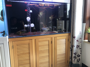 鱼缸,超白缸.120 宽50高60玻璃厚度12mm底滤缸,南