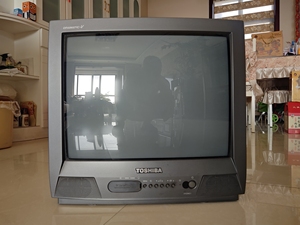 家用电器 大家电 电视 东芝21寸彩电