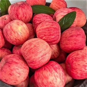 【3人团】现摘富士苹果新鲜脆甜冰糖心苹果应季水果五斤整箱包邮