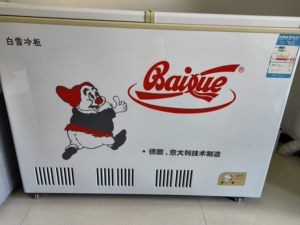 白雪牌冰柜