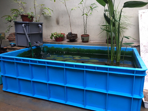 出售一套周转箱养鱼设备,江苏巨龙水槽,不是一般周转箱能比的