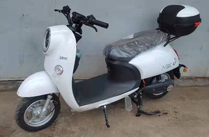 全新五星钻豹小龟王电动车48/60v20ah