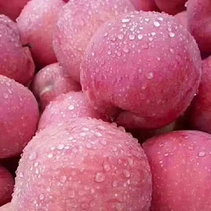 【特价】延安黄陵苹果陕西的著名特产,延安黄陵苹果营养丰富,价