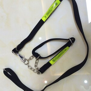 警犬牵引绳可调节大型犬牵引绳半p链