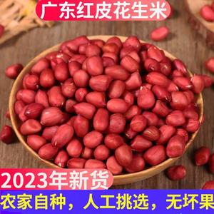 广东红皮花生米农家小粒新鲜四粒红衣花生2023年新花生米生的新货
