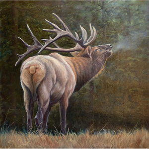 朝鲜油画 青云《冬鹿》手绘布面雄鹿风景横幅油画真迹原稿拍卖