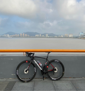 美利达斯特拉1000