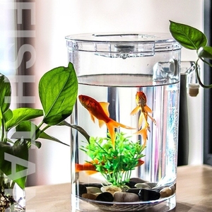 圆形小鱼缸斗鱼热带小型鱼自洁桌面迷你微景生态免换水懒人创意鱼