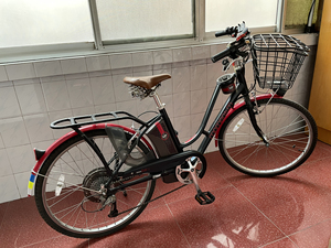 捷安特-莫曼顿自行车,锂电池助力(36v),轮毂28,型号t