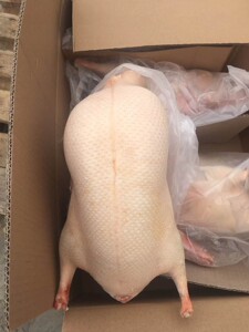 北京传统打气填鸭胚酥不腻鸭胚樱桃谷鸭坯北京烤鸭专用冷冻鸭胚白