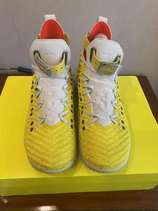nike勒布朗詹姆斯大狮子