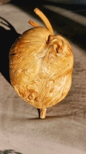 松树根瘤 松树瘤 松树蛋 根雕 根艺 挂件 摆件 手把件