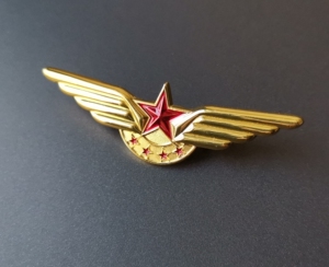全新 caac中国民航飞行徽章 金属胸章胸针胸徽 民航学院学