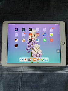 苹果ipad第6代,ipad2018年京东买的,戴套使用一切