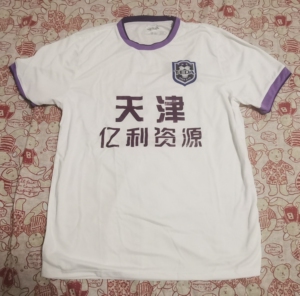 天津泰达队 球迷版助威服