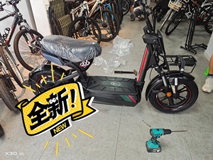 捷安特电动车133s,全新正品,配48Ⅴ20ah天能大电池.