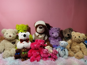 韩国品牌泰迪熊玩偶joanne熊合集,三只以上9折(不算挂件