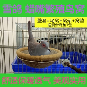 蜡嘴鸟窝鸟巢 雪鸽鸟窝鸟巢澳大利亚雪鸽鸟窝梧桐鸟铜嘴黑头蜡嘴