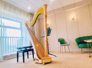 北京竖琴租赁啦 有47弦演奏级踏板也有38弦salvi无踏板