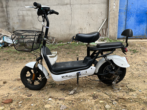新国标带脚蹬双禾电动车 48v12a超威银合金电池 自提53