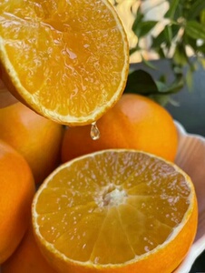 四川新鲜甘平柑橘10斤当季现摘水果一级礼盒沙糖蜜橘砂糖柑橘甜