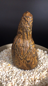 古铜石,贵州古铜石,夜郎古铜石,奇石,其上纹饰繁复,变化万千