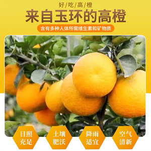 温岭高橙,玉环广柑