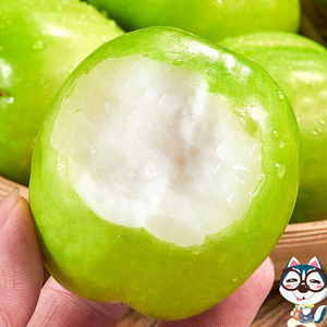 【海南大青枣】海南大青枣品牌,价格 - 阿里巴巴